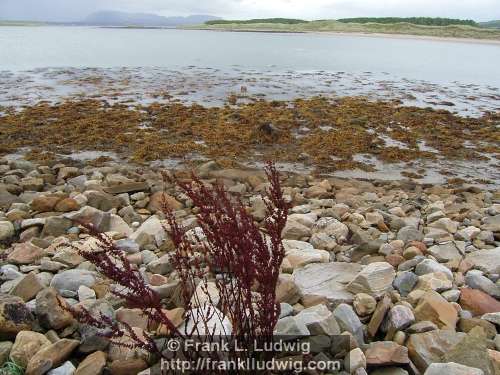 Strandhill